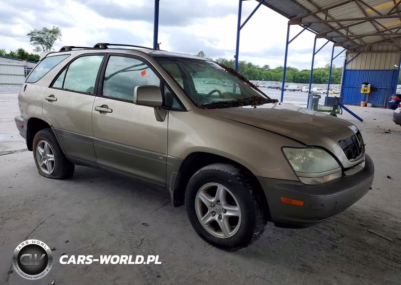2002 Lexs Rx 300 VIN:JTJHF10U620251602 - 4