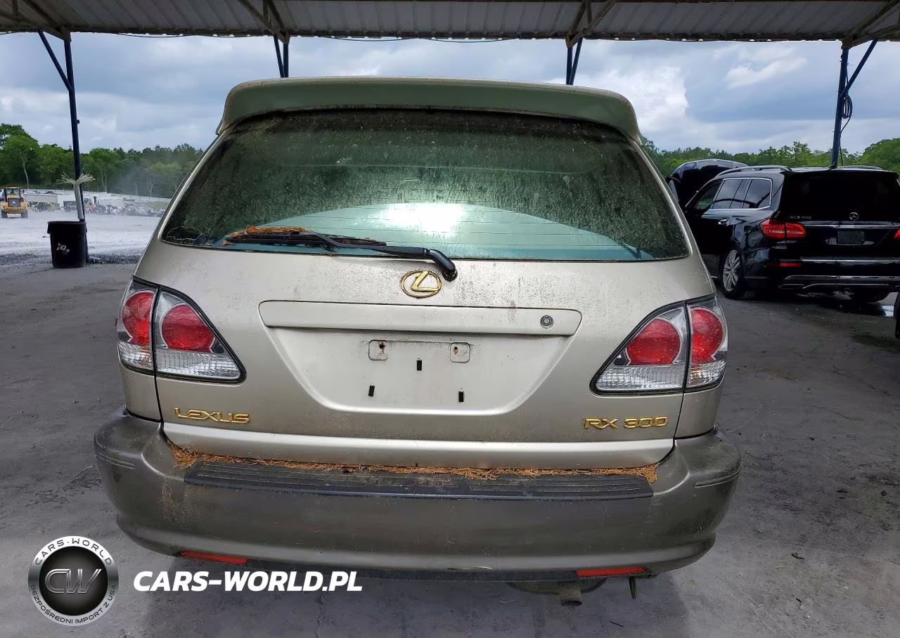 2002 Lexs Rx 300 VIN:JTJHF10U620251602 - 6