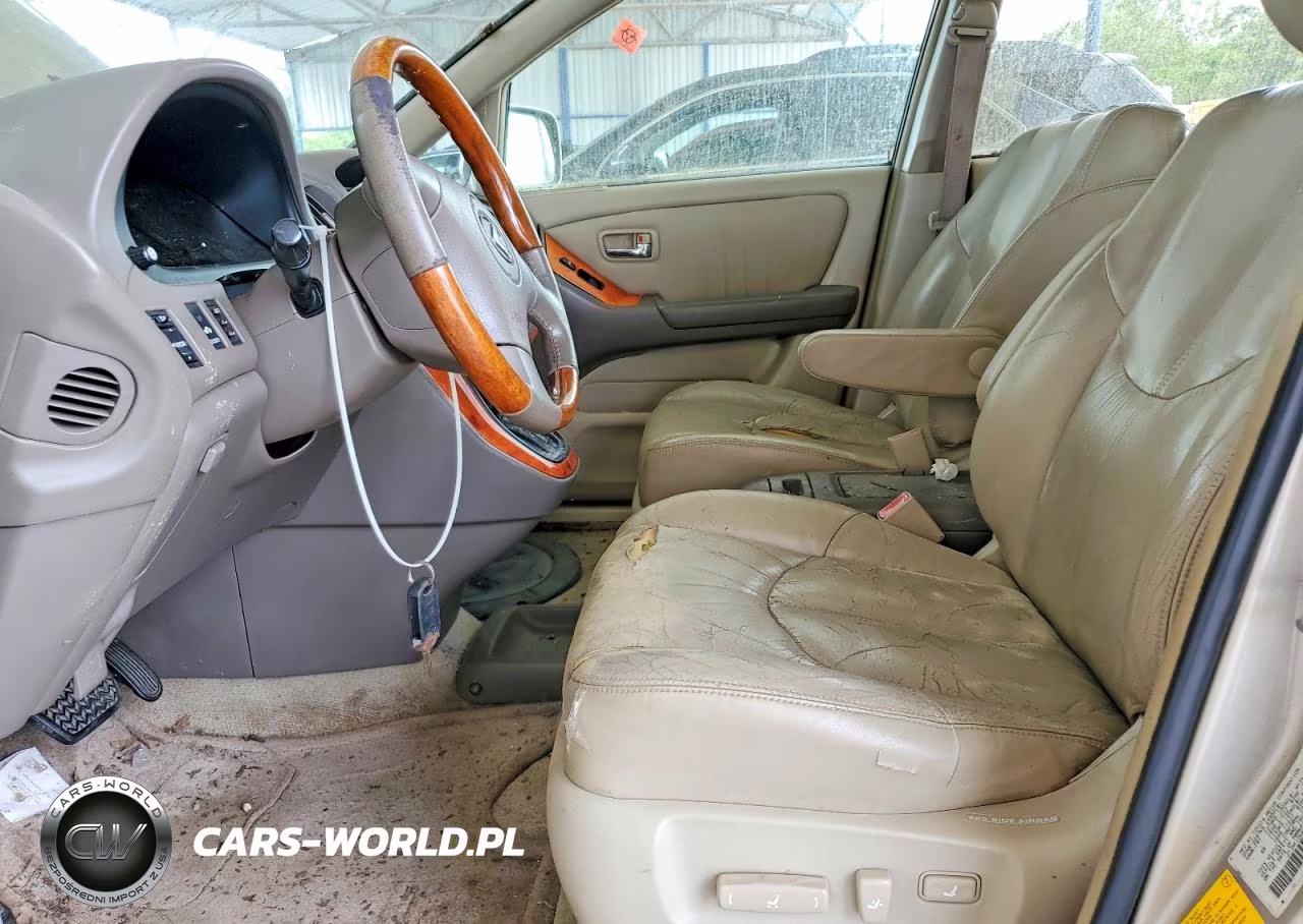 2002 Lexs Rx 300 VIN:JTJHF10U620251602 - 7