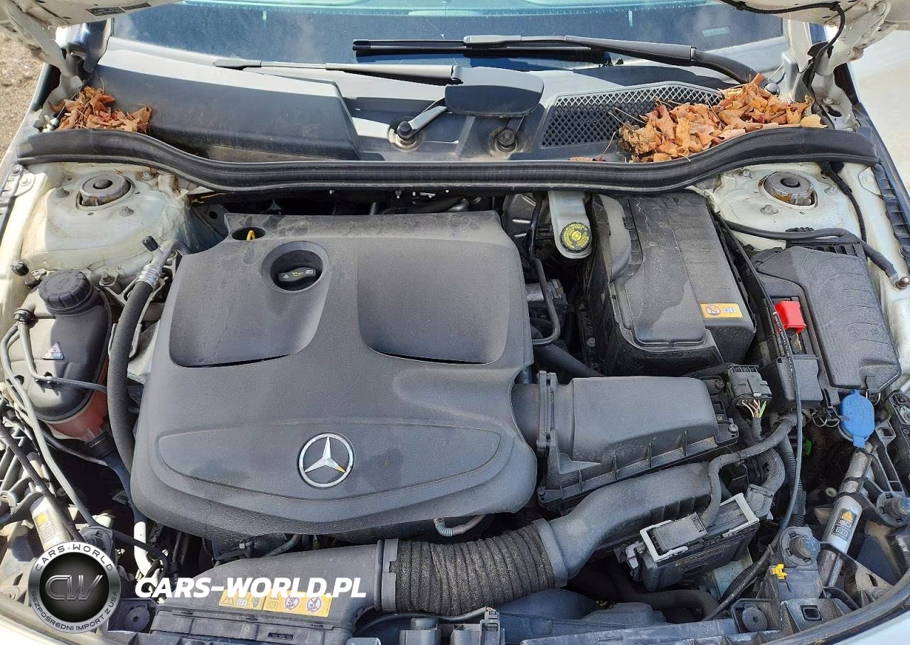 2015 Mercedes-Benz Cla 250 VIN:WDDSJ4EB7FN181493 - 11