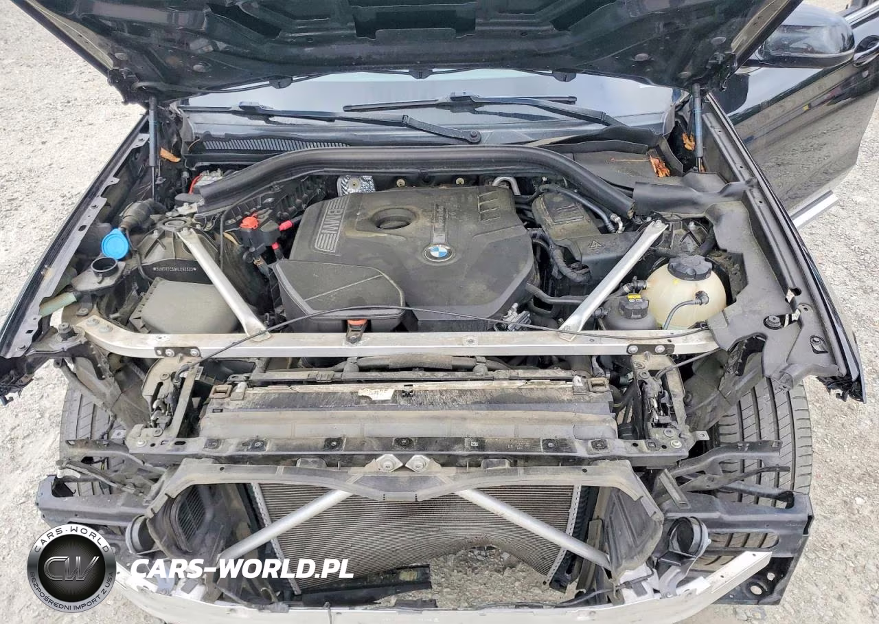 2019 BMW X3 Sdrive30I VIN:5UXTR7C59KLE93523 - 12