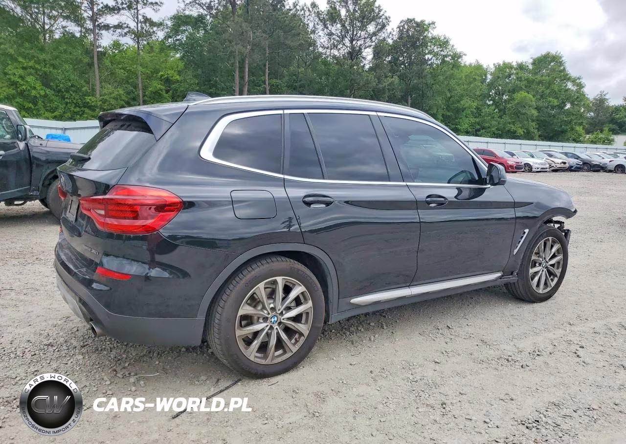 2019 BMW X3 Sdrive30I VIN:5UXTR7C59KLE93523 - 3