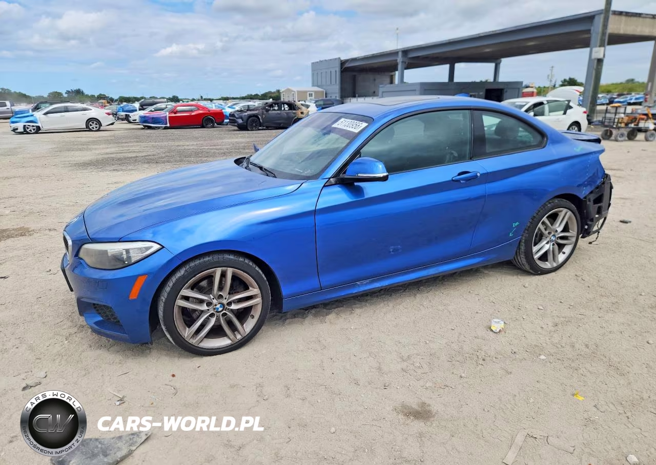 2016 BMW 228 Xi Sulev