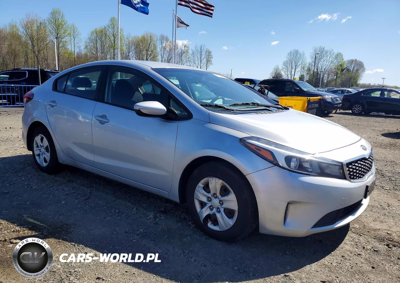 2018 Kia Forte Lx VIN:3KPFK4A74JE219463 - 4