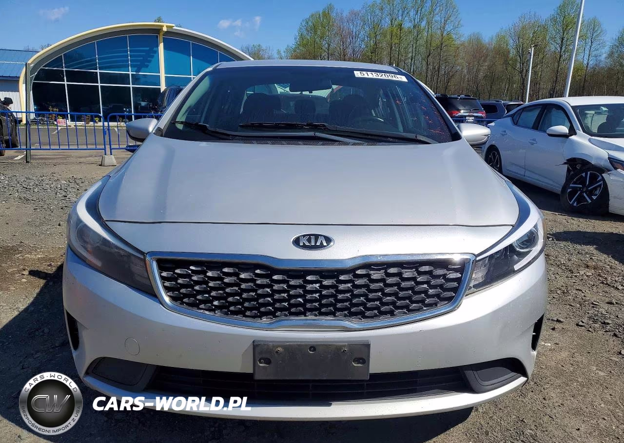 2018 Kia Forte Lx VIN:3KPFK4A74JE219463 - 5