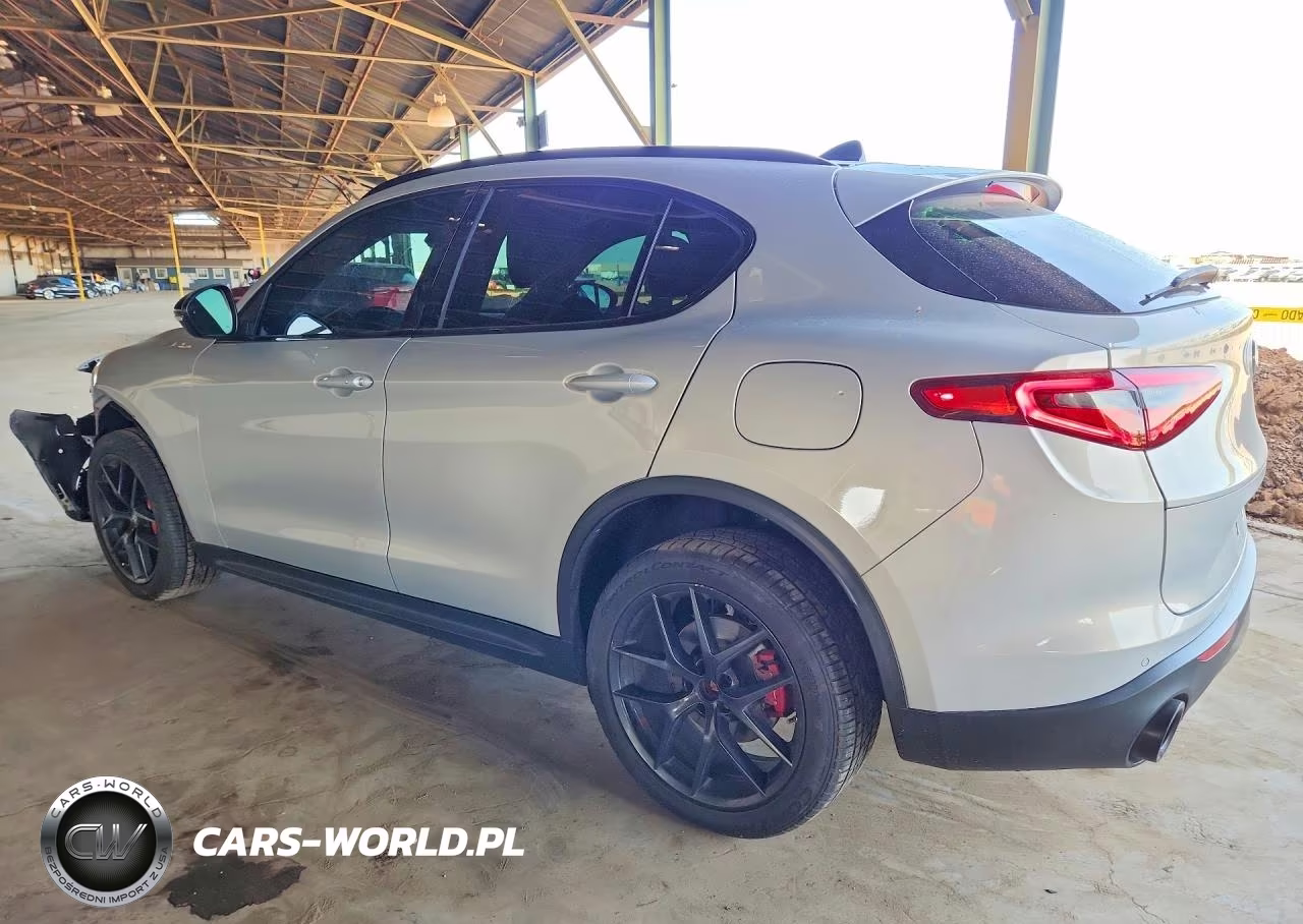 2020 Alfa Romeo Stelvio VIN:ZASPAJAN1L7C98671 - 2