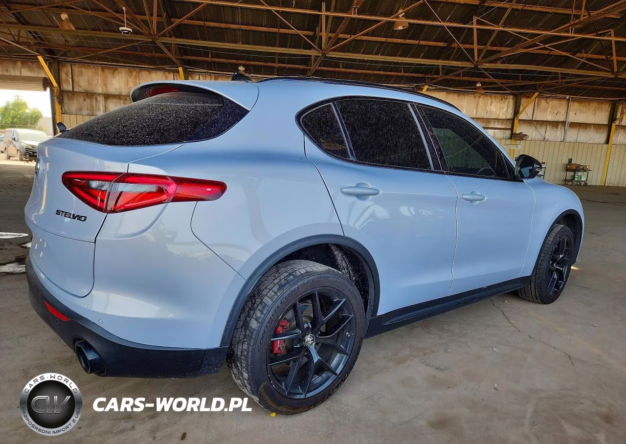 2020 Alfa Romeo Stelvio VIN:ZASPAJAN1L7C98671 - 3