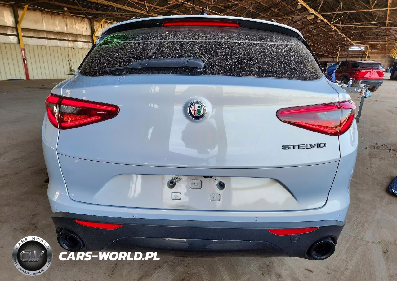 2020 Alfa Romeo Stelvio VIN:ZASPAJAN1L7C98671 - 6
