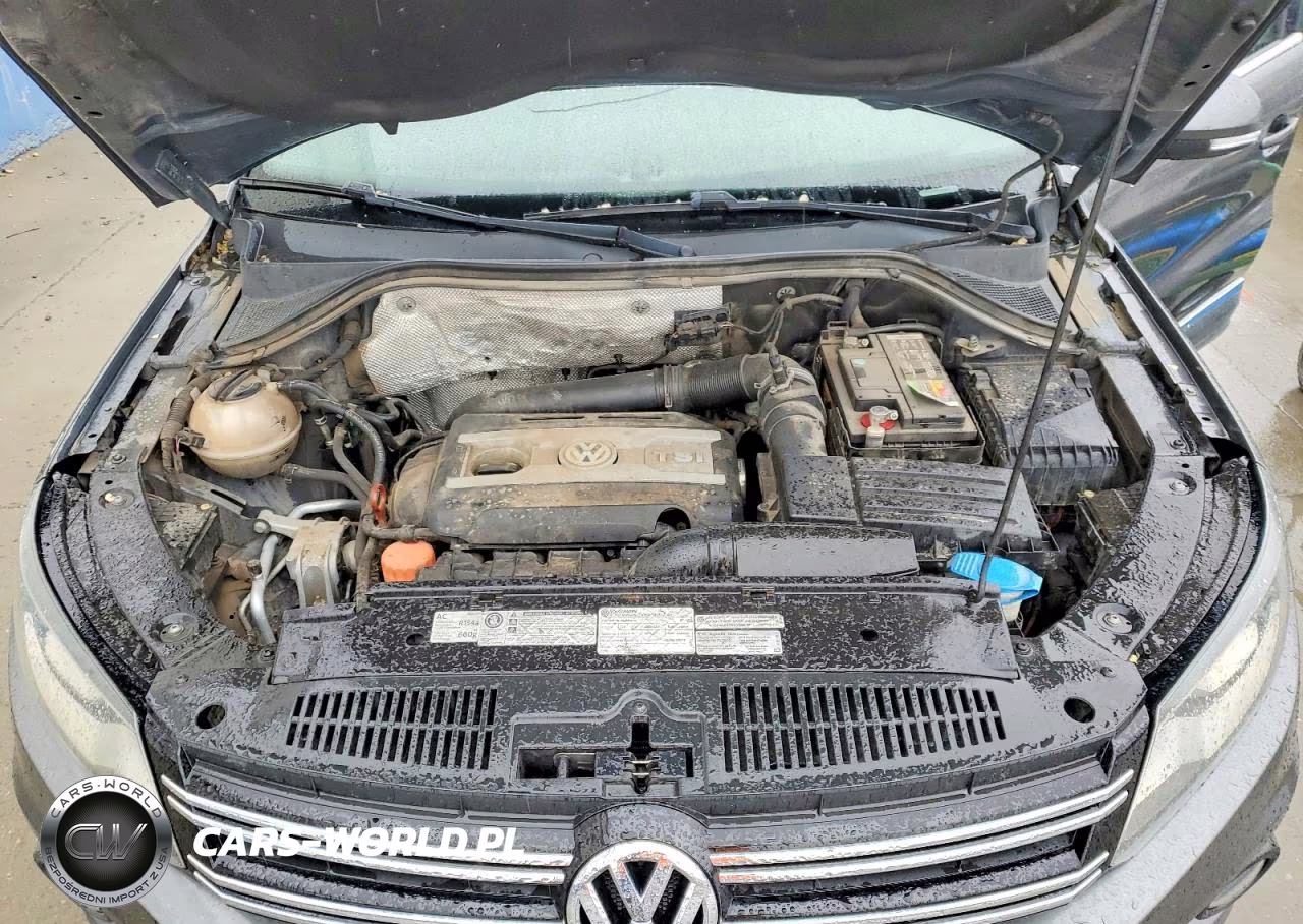 2012 Volkswagen Tiguan S VIN:WVGBV7AX8CW088341 - 12