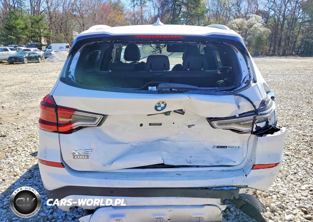 2019 BMW X3 xDrive30I VIN:5UXTR9C54KLR10300 - 6