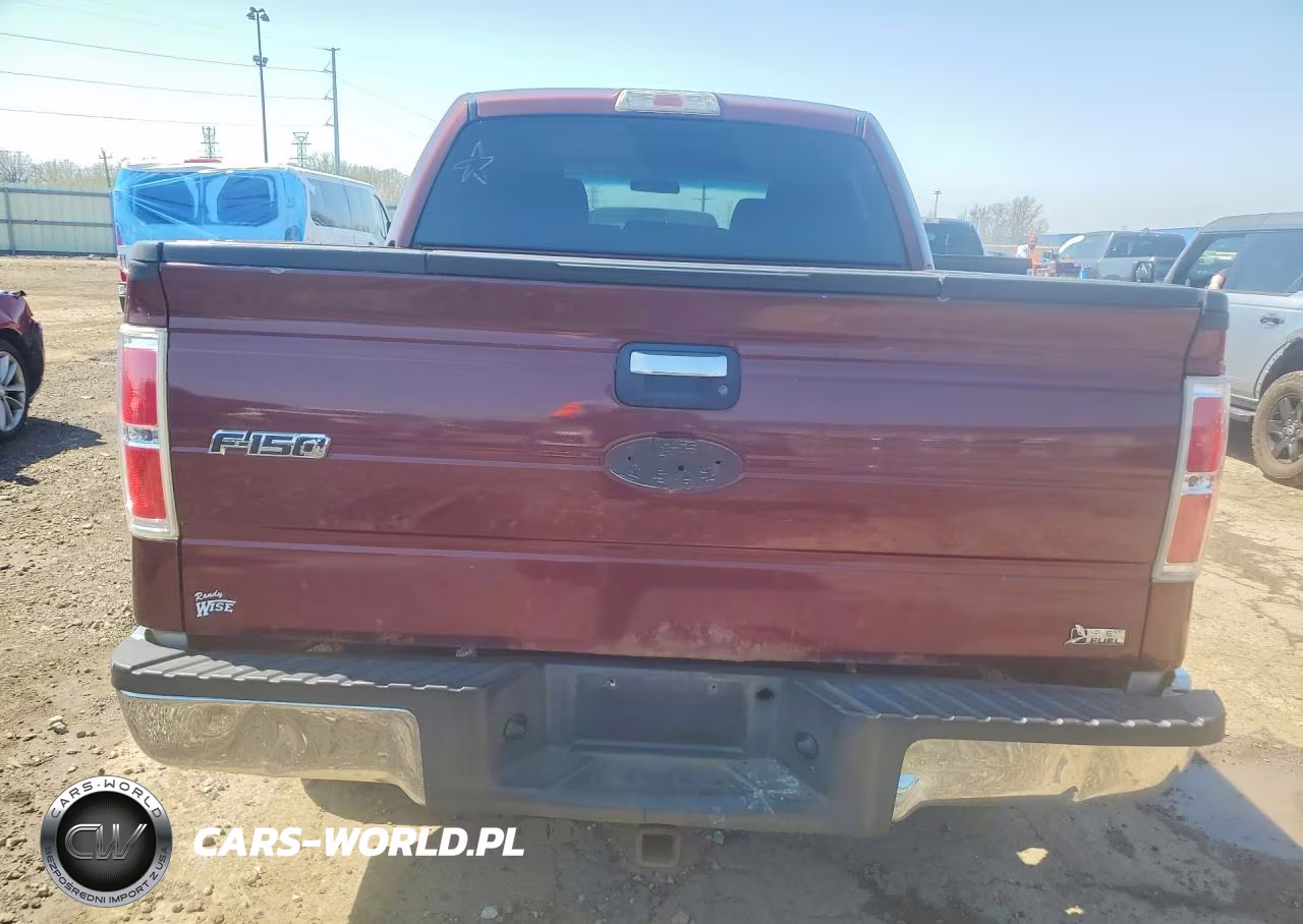 2010 Ford F150 Supercrew VIN:1FTFW1EV1AFC39414 - 6
