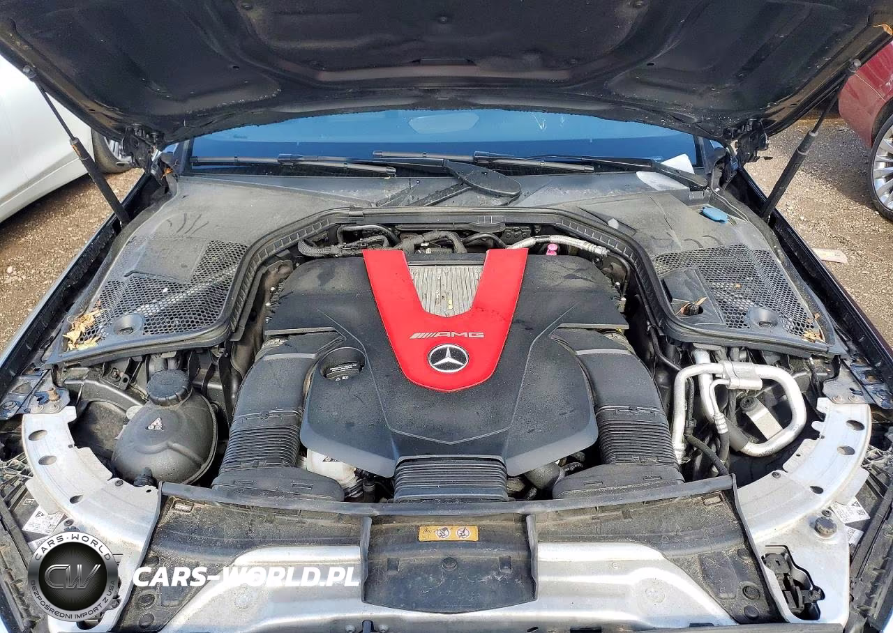 2019 Mercedes-Benz C 43 Amg VIN:WDDWJ6EB3KF807008 - 11