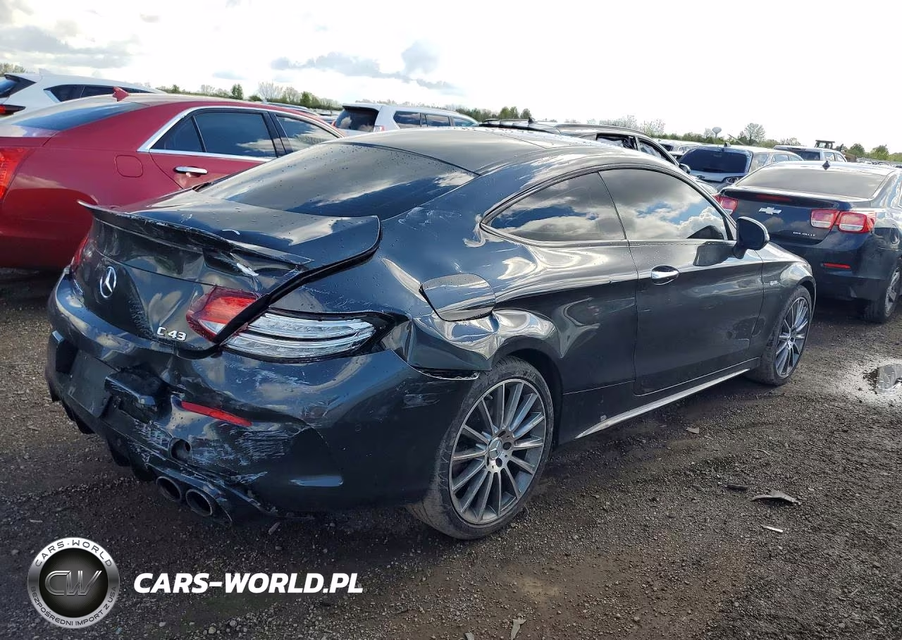2019 Mercedes-Benz C 43 Amg VIN:WDDWJ6EB3KF807008 - 3