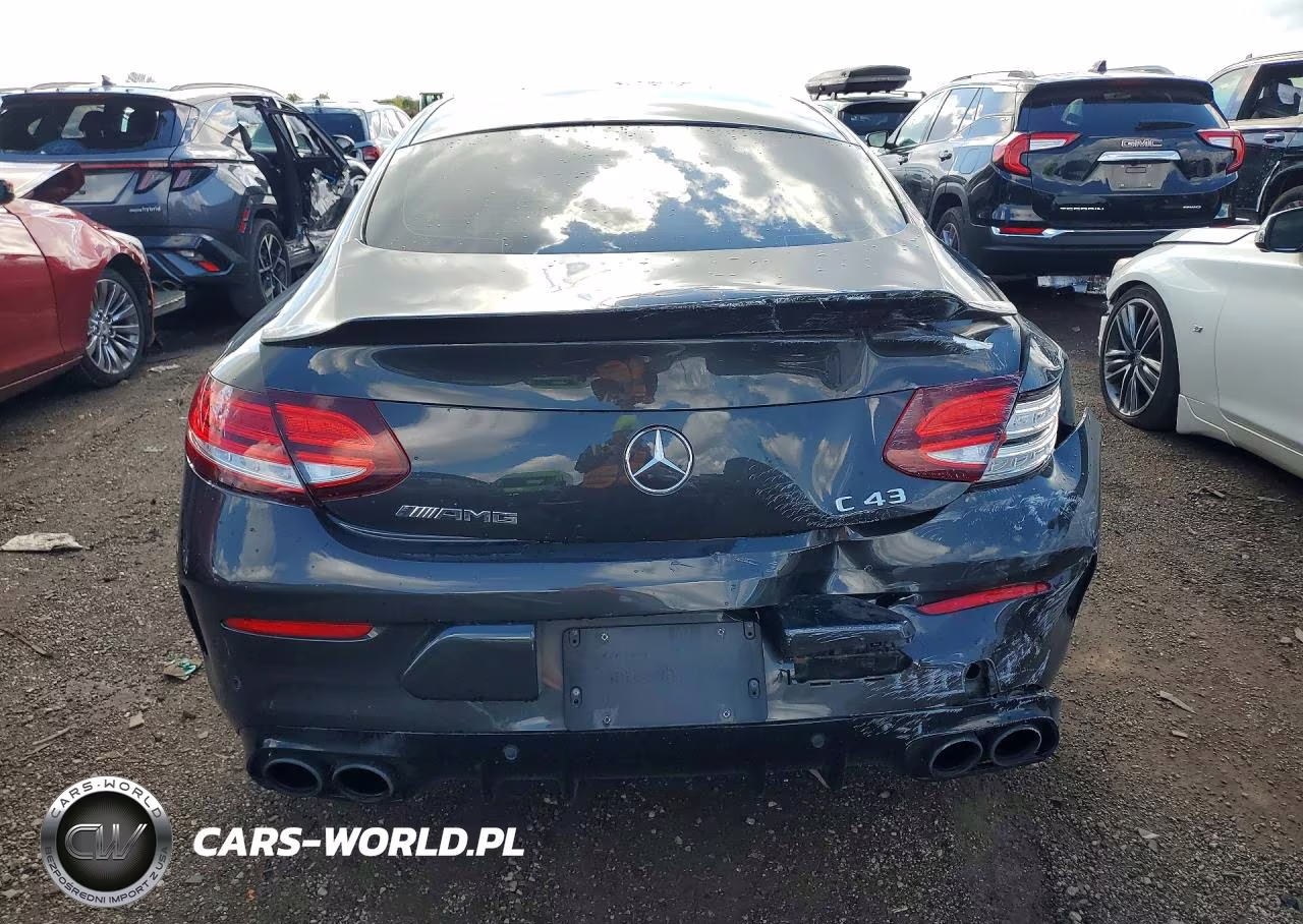2019 Mercedes-Benz C 43 Amg VIN:WDDWJ6EB3KF807008 - 6