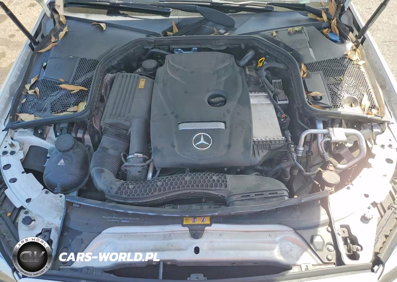 2017 Mercedes-Benz C 300 VIN:55SWF4JB9HU195611 - 11