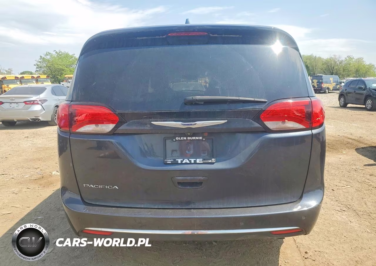 2020 Chrysler Pacifica Touring L Plus VIN:2C4RC1EG9LR108010 - 6