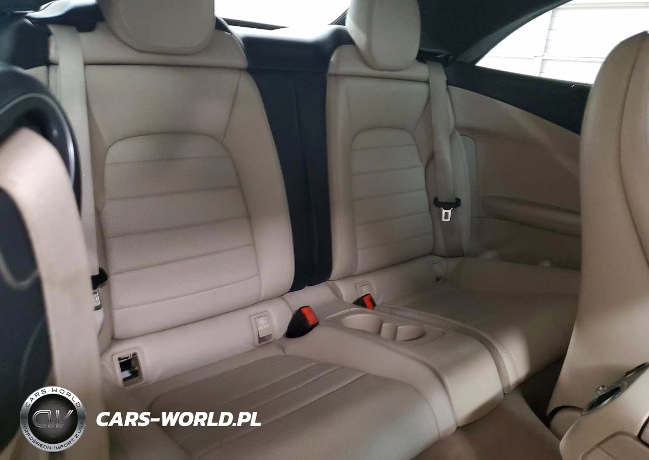 2018 Mercedes-Benz C 300 VIN:WDDWK4JB4JF612041 - 10