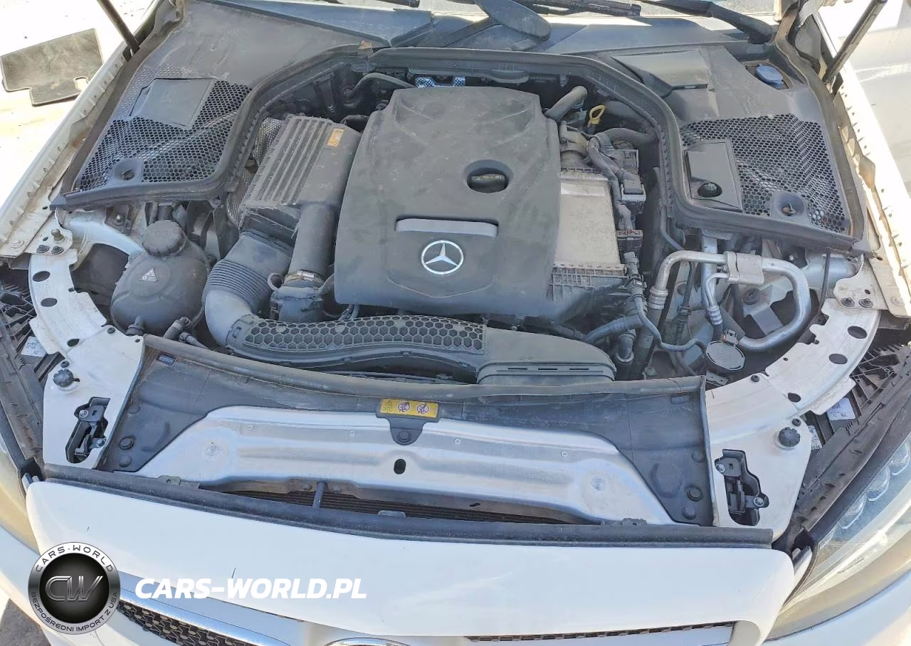 2018 Mercedes-Benz C 300 VIN:WDDWK4JB4JF612041 - 11