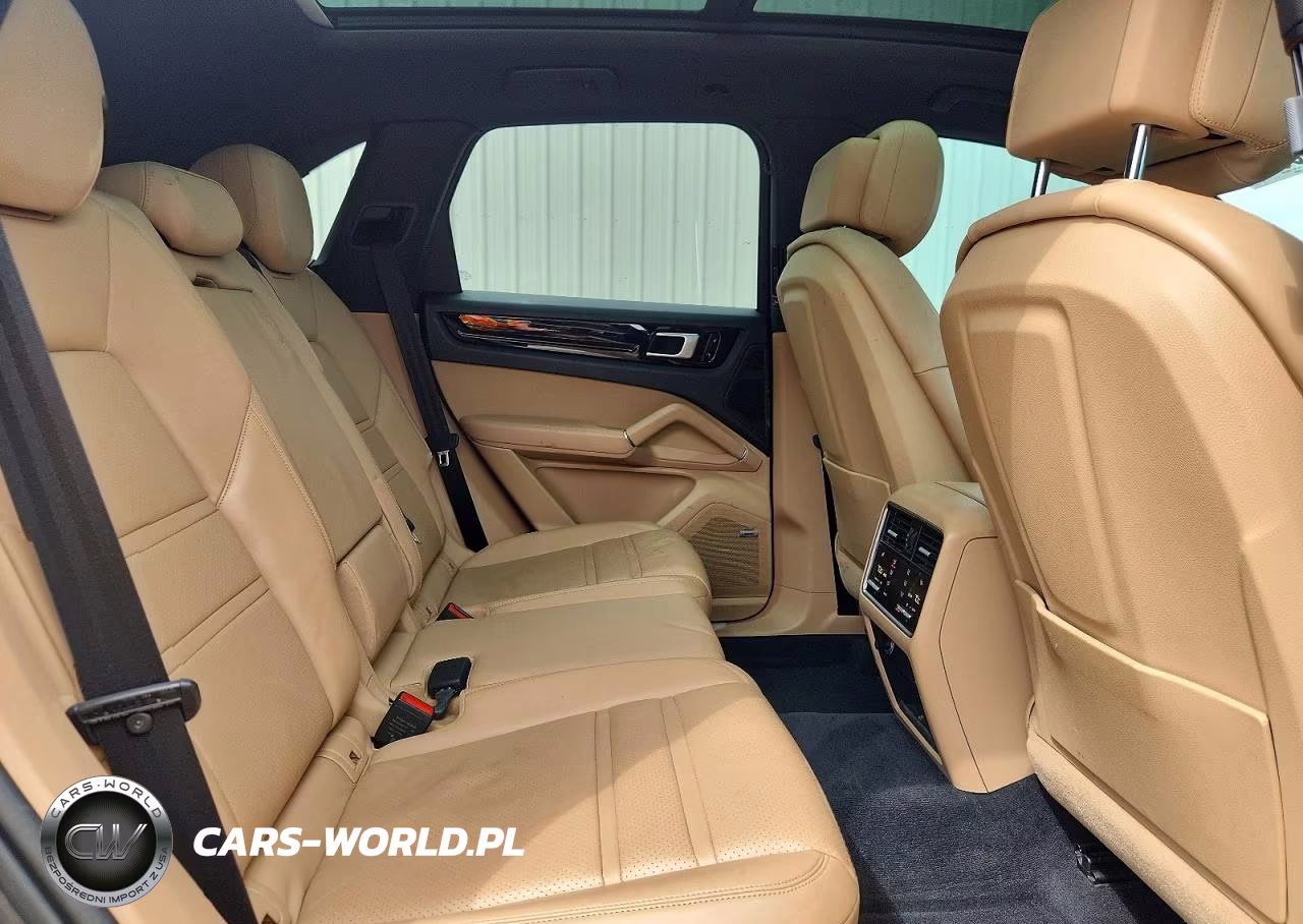 2019 Porsche Cayenne VIN:WP1AA2AY8KDA07919 - 10