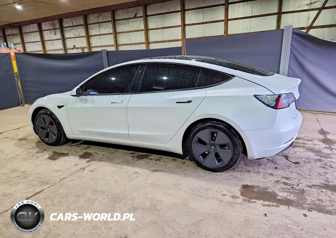 2022 Tesla Model 3 VIN:5YJ3E1EB5NF117595 - 2