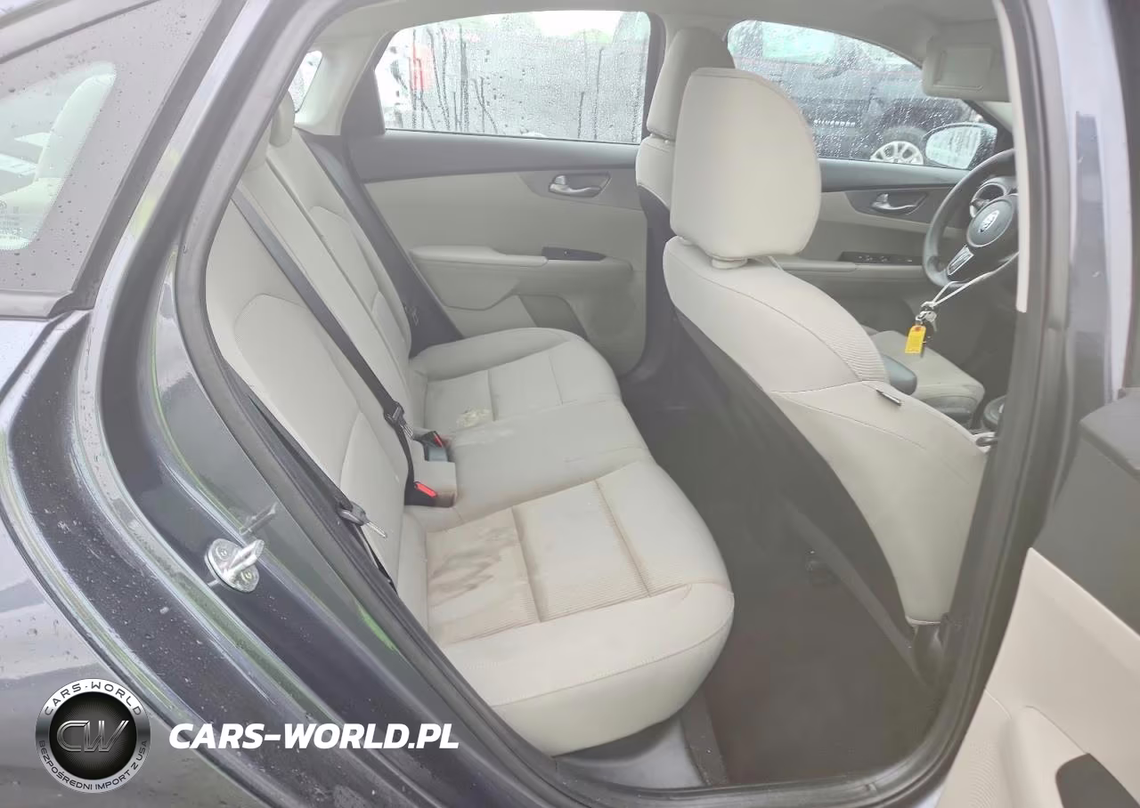 2020 Kia Forte Lxs VIN:3KPF24AD7LE193952 - 10