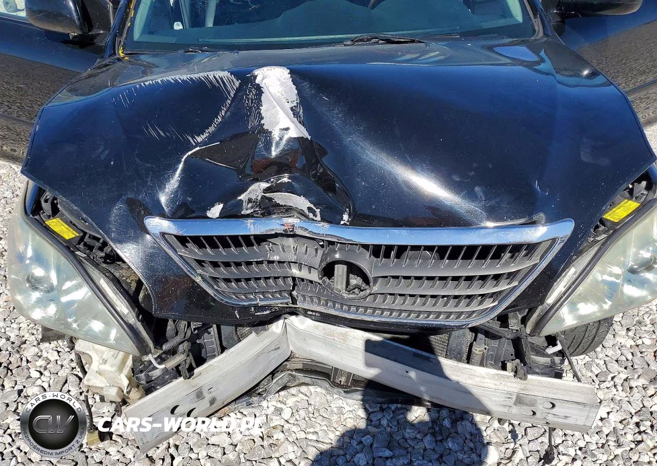 2007 Lexus Rx 400H VIN:JTJGW31U472003995 - 11