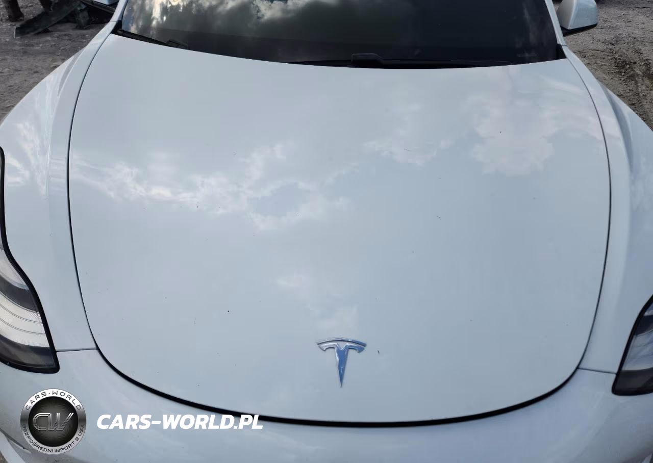 2021 Tesla Model 3 VIN:5YJ3E1EB0MF849938 - 11