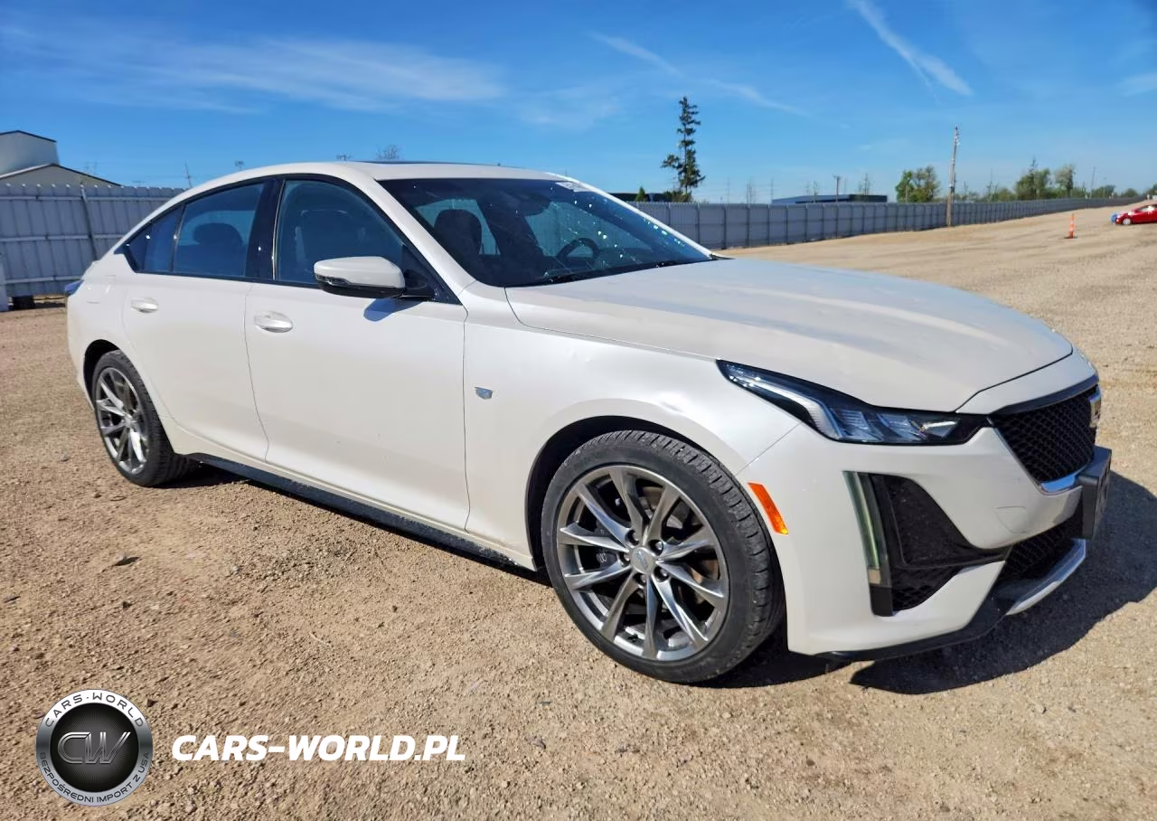 2020 Cadillac Ct5 Sport VIN:1G6DU5RK9L0141177 - 4