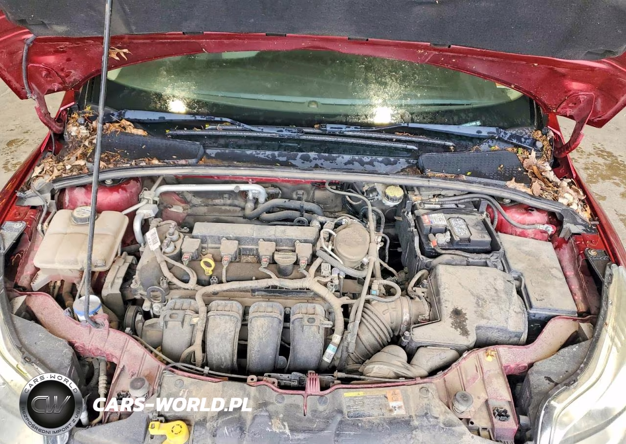 2013 Ford Focus Se VIN:1FADP3K2XDL131699 - 11