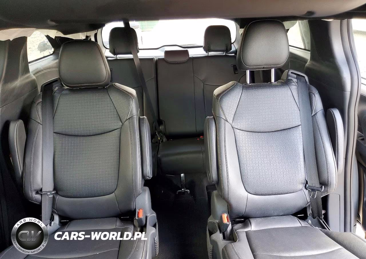 2025 Toyota Sienna Woodland Edition VIN:5TDCSKFC4SS166879 - 10