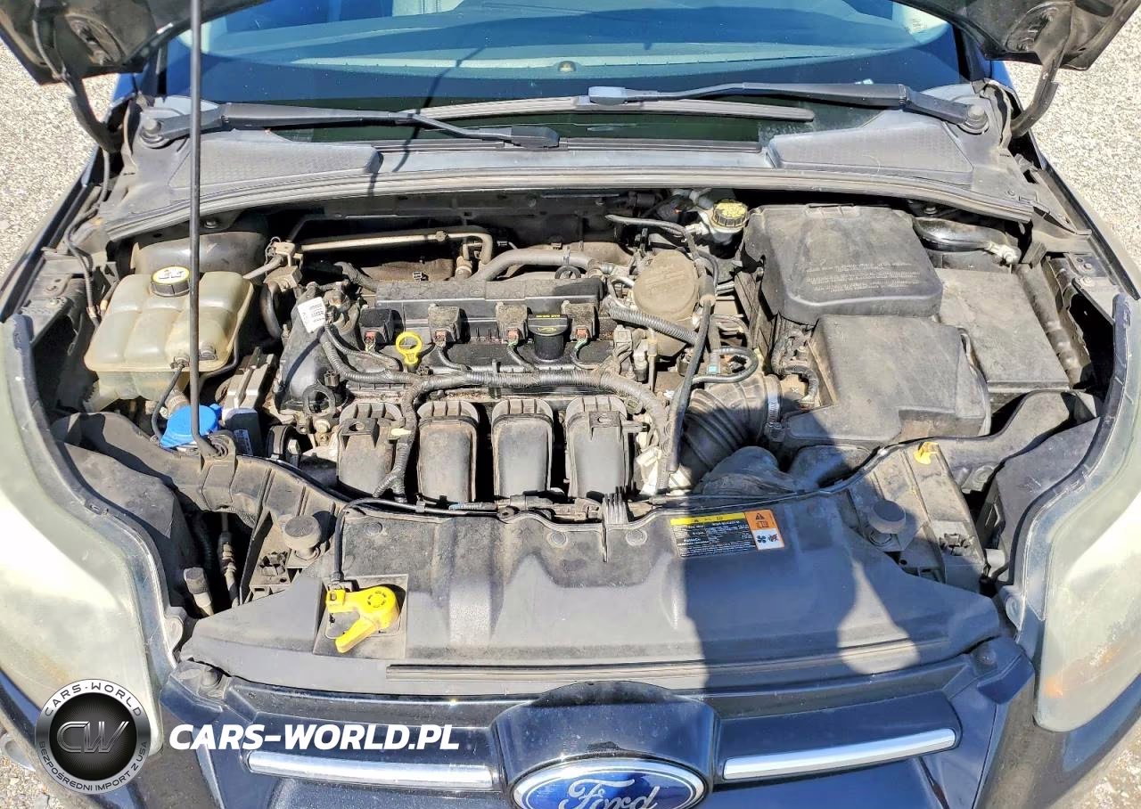 2014 Ford Focus VIN:1FADP3K20EL119966 - 11