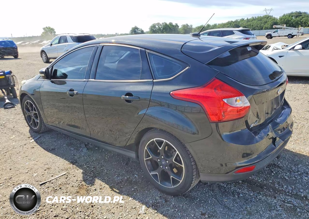 2014 Ford Focus VIN:1FADP3K20EL119966 - 2