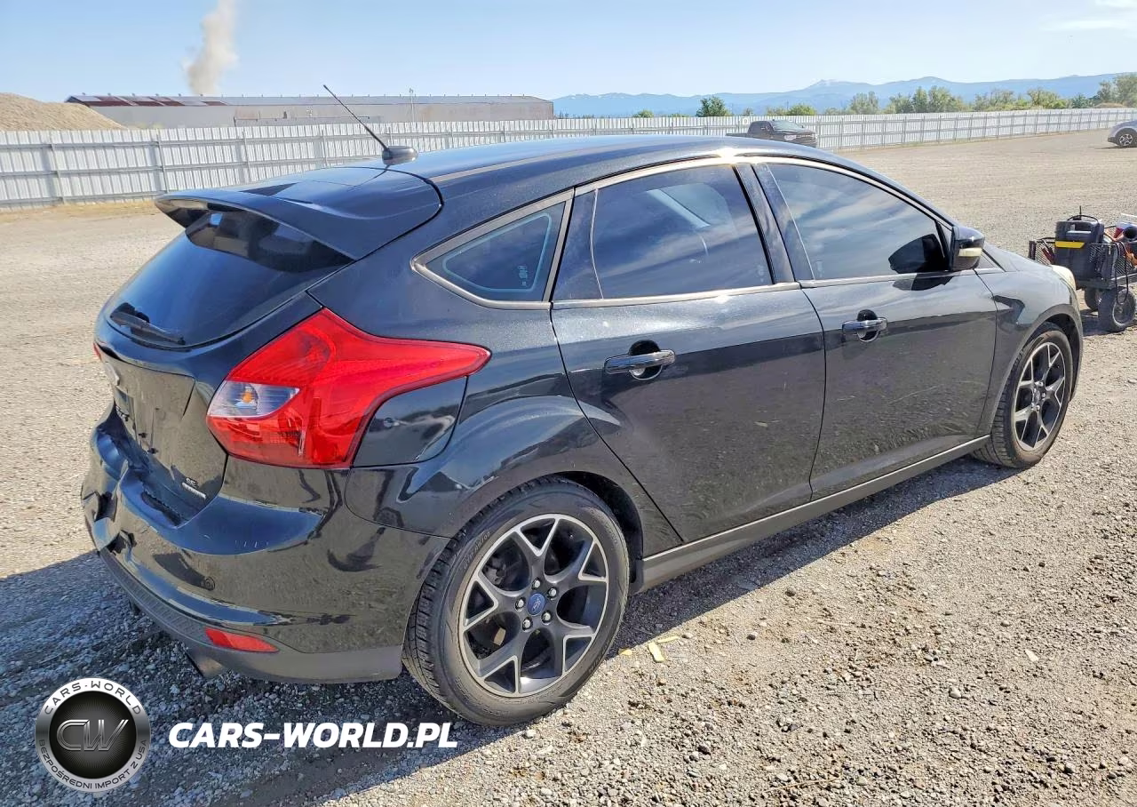 2014 Ford Focus VIN:1FADP3K20EL119966 - 3