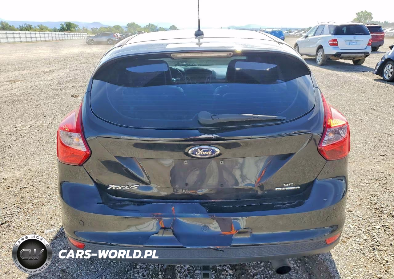 2014 Ford Focus VIN:1FADP3K20EL119966 - 6