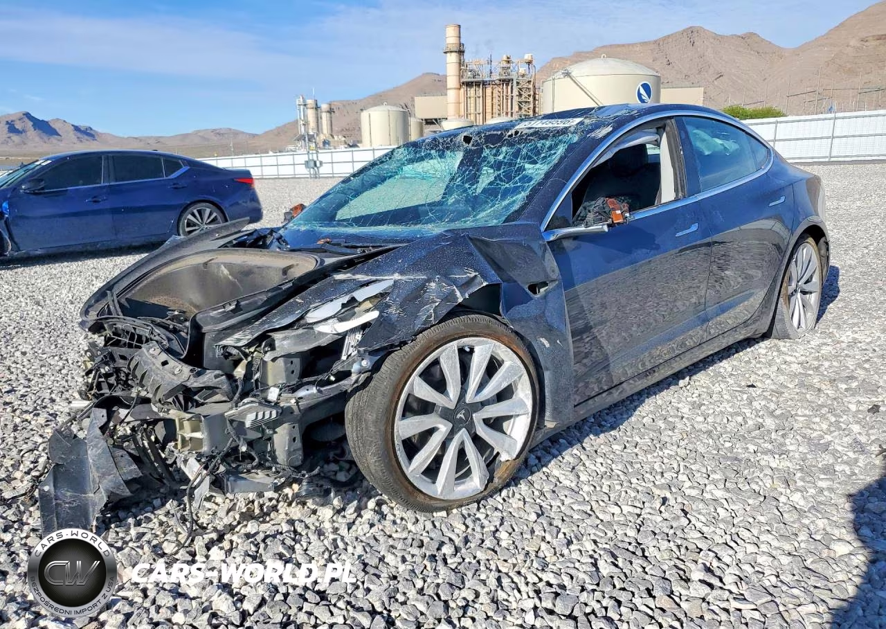 2019 Tesla Model 3