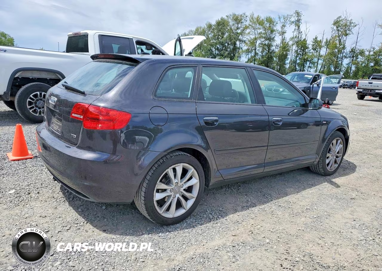 2013 Audi A3 Premium VIN:WAUBJAFMXDA009842 - 3