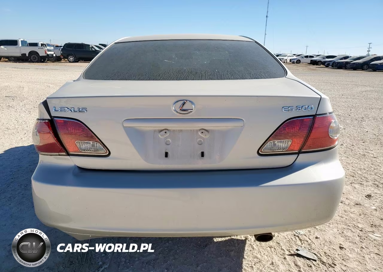 2003 Lexus Es 300 VIN:JTHBF30G430148158 - 6