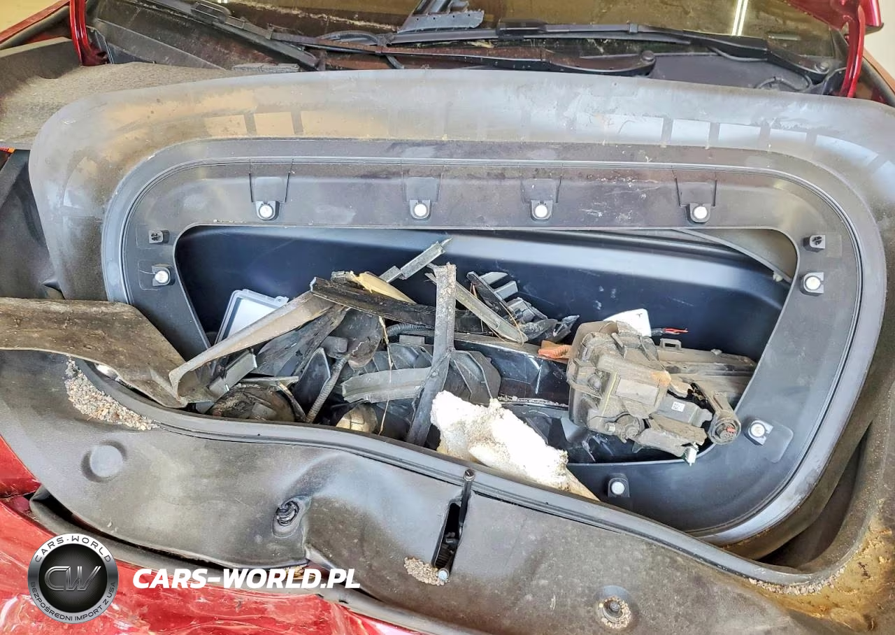 2025 Tesla Model Y VIN:7SAYGDEF8SA362696 - 11