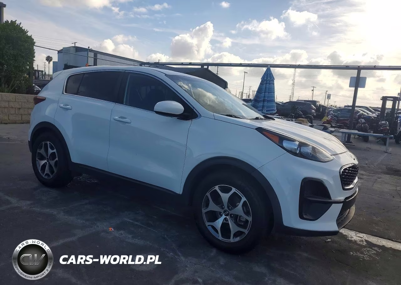 2020 Kia Sportage Lx VIN:KNDPM3AC7L7729511 - 4