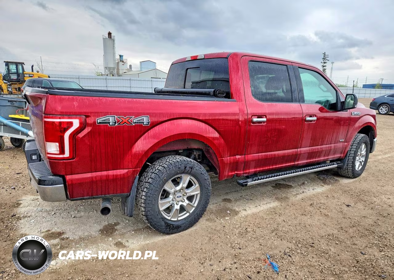 2016 Ford F150 Supercrew VIN:1FTEW1EGXGKE92177 - 3
