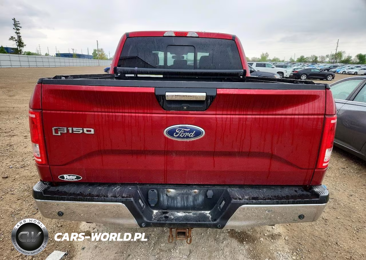 2016 Ford F150 Supercrew VIN:1FTEW1EGXGKE92177 - 6