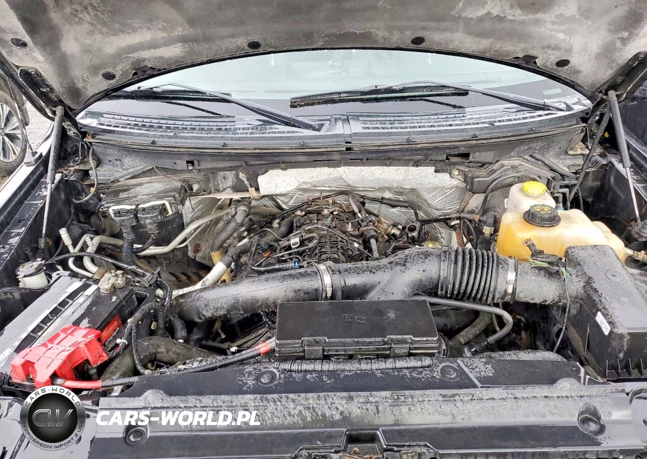 2014 Ford F150 Supercrew VIN:1FTFW1ET5EFB18650 - 11