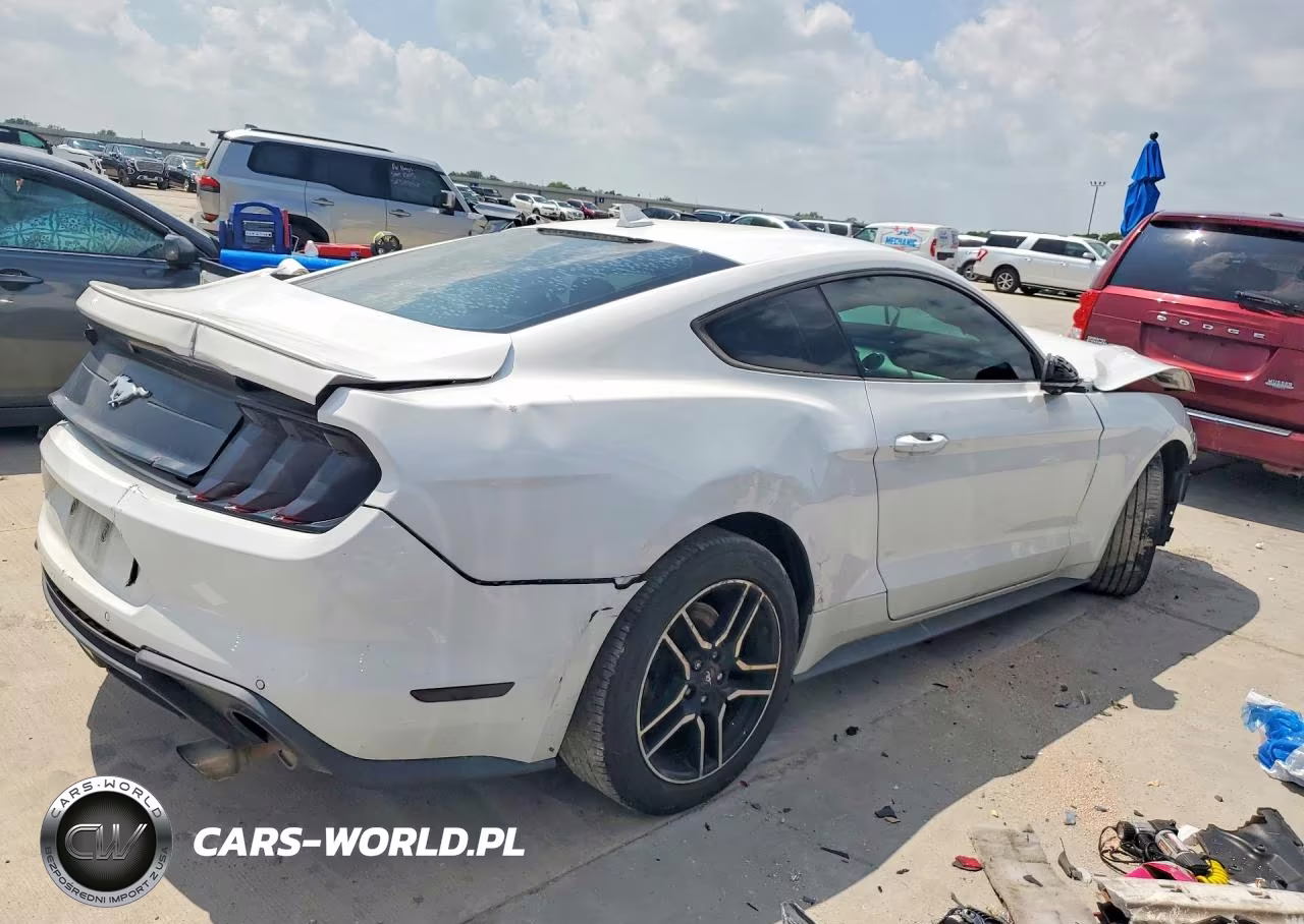 2020 Ford Mustang VIN:1FA6P8TH6L5148009 - 3