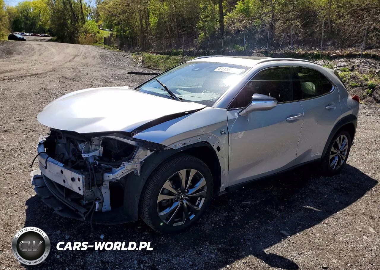 2019 Lexus Ux 250H