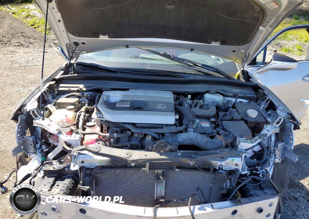 2019 Lexus Ux 250H VIN:JTHU9JBH3K2013721 - 11