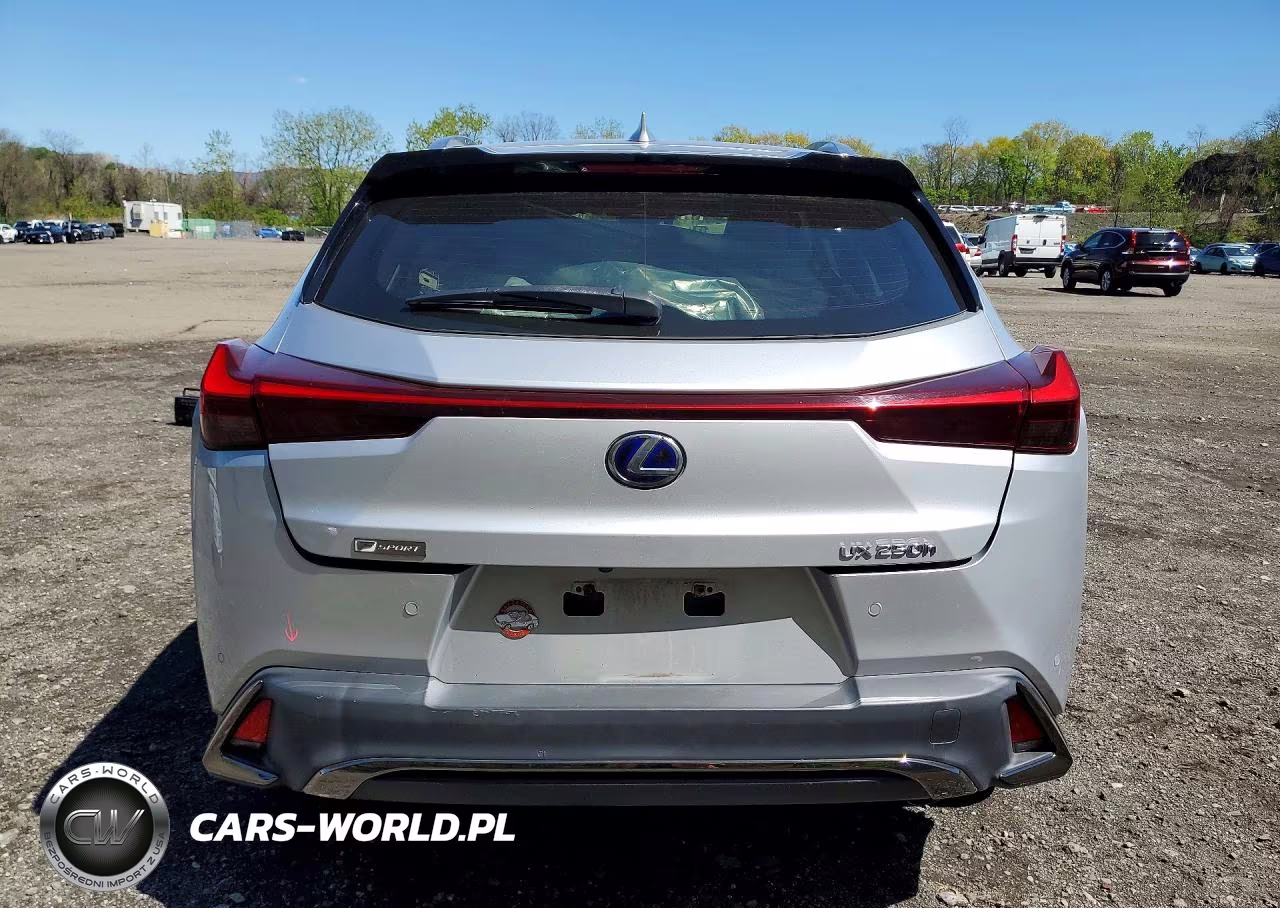 2019 Lexus Ux 250H VIN:JTHU9JBH3K2013721 - 6
