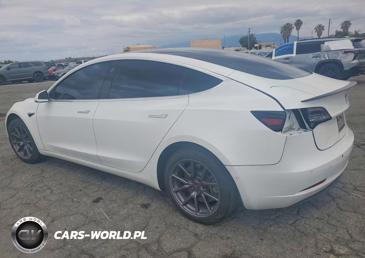 2019 Tesla Model 3 VIN:5YJ3E1EAXKF504081 - 2