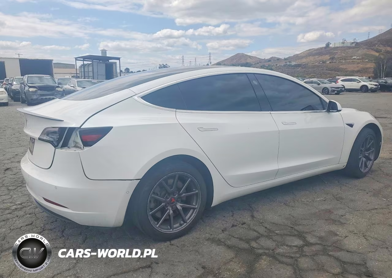 2019 Tesla Model 3 VIN:5YJ3E1EAXKF504081 - 3