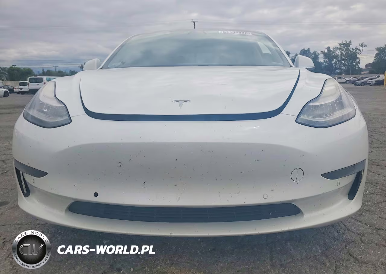 2019 Tesla Model 3 VIN:5YJ3E1EAXKF504081 - 5