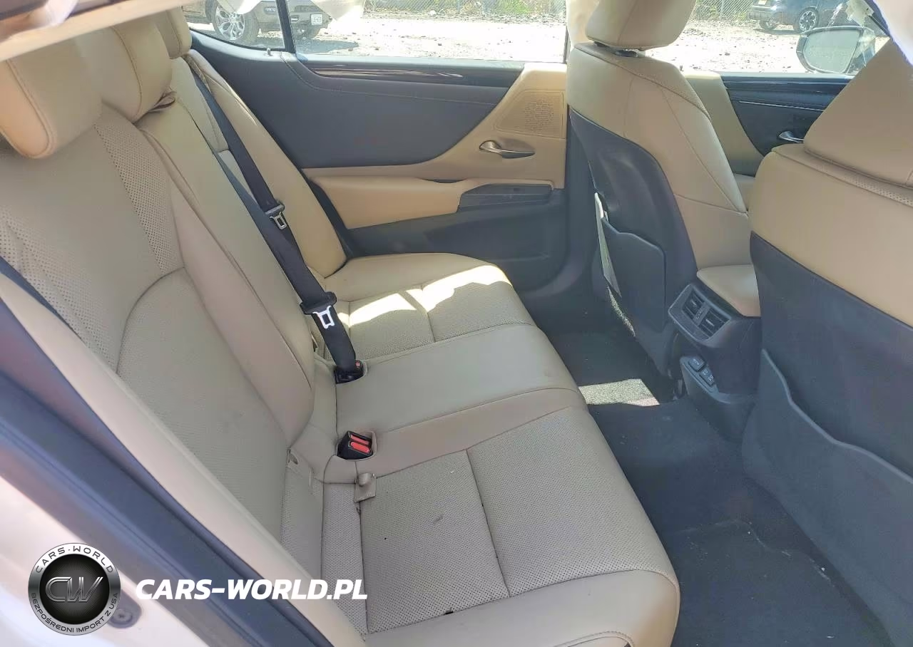 2019 Lexus Es 350 VIN:58ABZ1B14KU041077 - 10